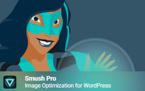 WP Smush Pro v3.7.3 WordPress图片压缩插件插图