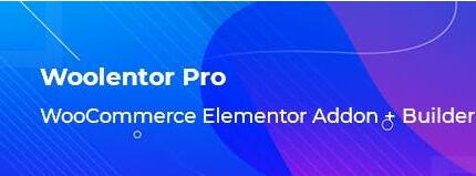 WooLentor Pro v1.5.6 WooCommerce附加组件插图