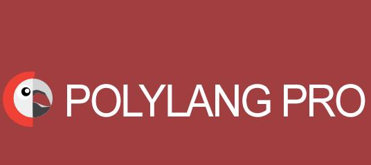 Polylang Pro v2.9.1 - 多国语言插件插图
