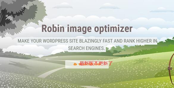 Webcraftic Robin Image Optimizer Pro 1.7.0破解版（已汉化） - WordPress图像优化压缩插件插图