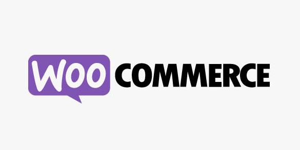 WooCommerce API Manager v3.3.3（已汉化） -  API管理插件插图