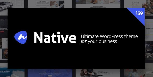 Native v1.6.9.6 – 时尚的多功能创意WordPress主题插图