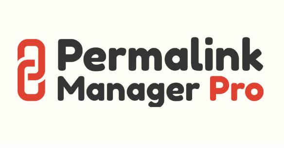 Permalink Manager Pro v2.2.9.3破解版 – WordPress Permalink插件插图