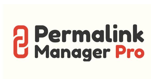 Permalink Manager Pro v2.2.9.4已破解 – WordPress Permalink插件插图
