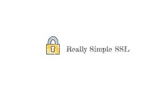 Really Simple SSL Pro v4.1.0破解版插图