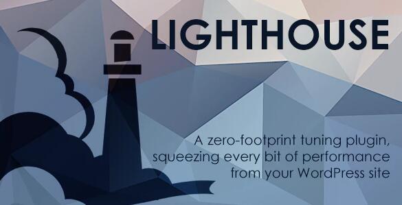 Lighthouse v4.1.1破解版（已汉化） - Wordpress性能调整插件插图