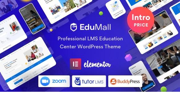 EduMall v2.0.0汉化破解版 – WordPress教育中心主题插图