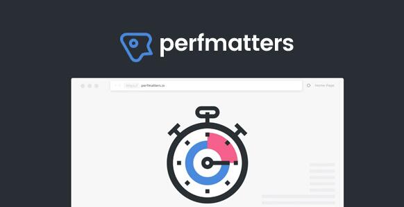 Perfmatters v2.3.0免激活版（已汉化） - WordPress性能优化插件插图
