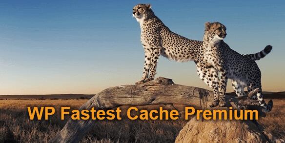 WP Fastest Cache Premium v1.7.1破解版（已汉化） – WordPress缓存插件插图