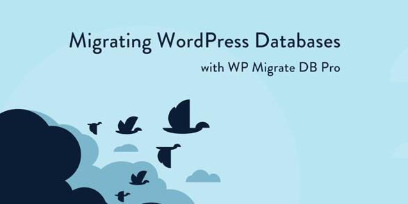 WP Migrate DB Pro v1.9.13汉化破解版 – WordPress数据库迁移插件插图