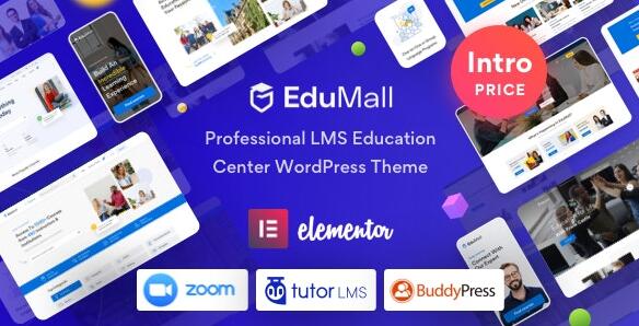 EduMall v2.1.0汉化破解版 – WordPress教育主题插图