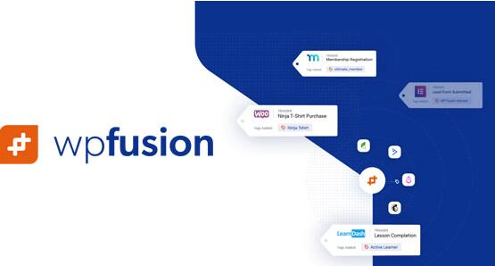 WP Fusion v3.36.4汉化破解版– WordPress自动化营销插件插图