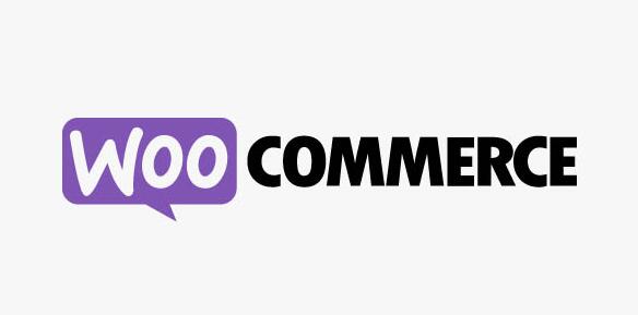 WooCommerce Checkout Add-Ons v2.7.1插图