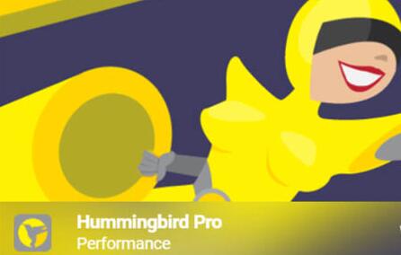 Hummingbird Pro v3.9.4免激活版（已汉化） – WordPress提升性能插件插图