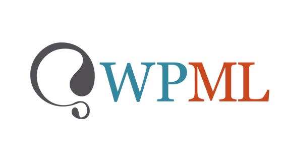 WPML Translation Management Addon v2.10.8 - WordPress翻译管理插件插图