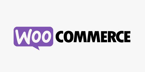 WooCommerce Xero v1.8.9（已汉化）插图