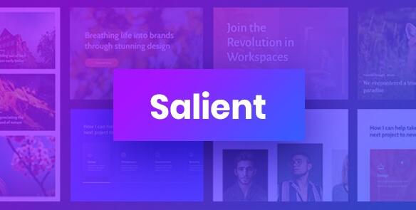 Salient v16.1.0 – WordPress响应式多用途主题插图