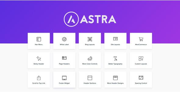 Astra Pro v4.7.1（已汉化）–使用Pro插件扩展Astra主题插图