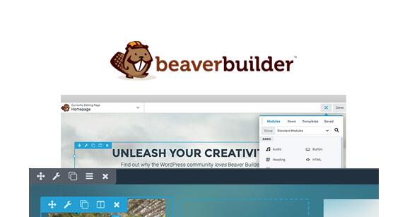 Beaver Builder Professional v2.4.2汉化破解版插图