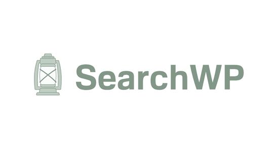 SearchWP v4.1.4破解版– WordPress搜索插件（已汉化）插图
