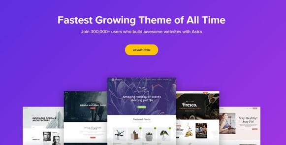 Astra Theme v3.0.1破解版 –可自定义的WordPress主题
