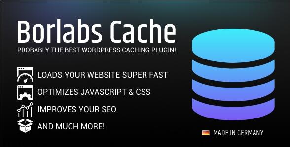 Borlabs Cache v1.6.3 汉化破解版– WordPress缓存插件