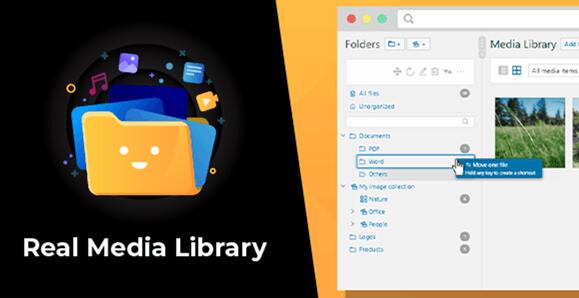 WordPress Real Media Library v4.12.2破解版 – 文件夹和文件管理器插件插图