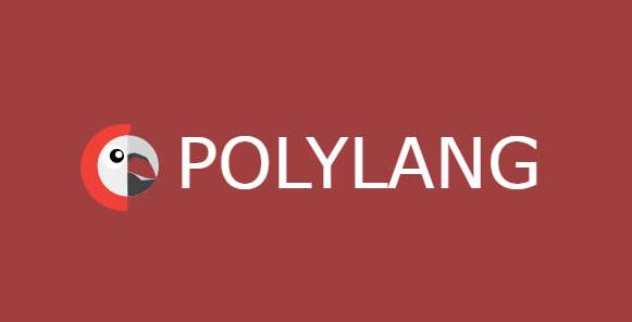 Polylang Pro v3.6.4（已汉化） – WordPress翻译插件插图