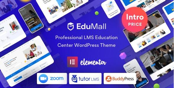 EduMall V2.3.1 –专业LMS教育中心WordPress主题插图