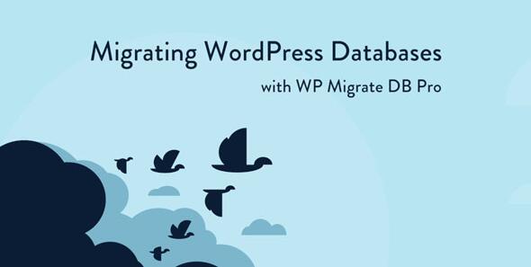 WP Migrate DB Pro v2.6.13破解版 – WordPress数据库迁移插件插图