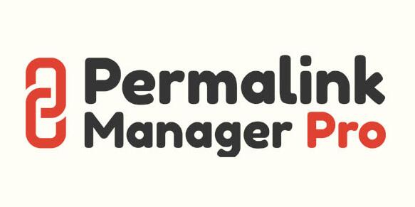 Permalink Manager Pro v2.4.4.1破解版（已汉化）– Wordpress 永久链接插件插图