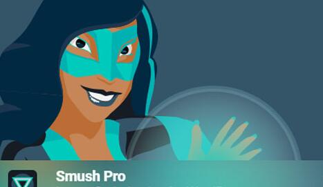 WP Smush Pro v3.16.6（已汉化）– WordPress图像优化插件插图