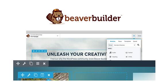 Beaver Builder Professional v2.8.3.3破解版（已汉化） - 页面构建器插件插图