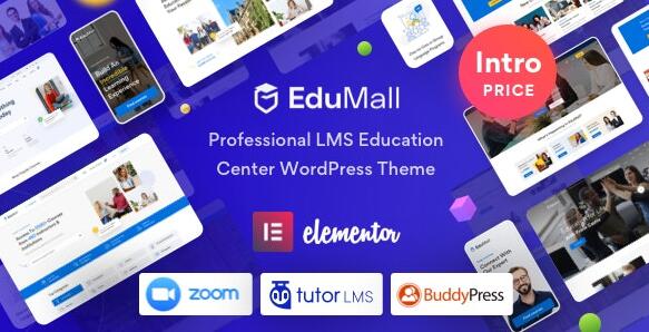 EduMall v3.9.10  –专业LMS教育中心WordPress主题插图