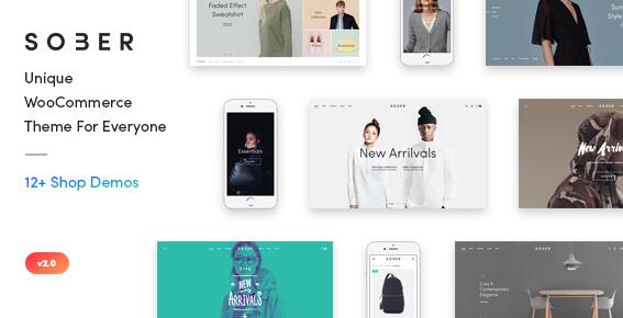 Sober v3.4.21 破解版（已汉化）- WordPress电子商务主题