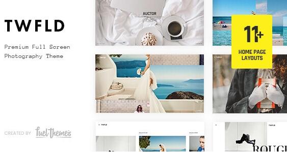 TwoFold v3.7.0破解版–全屏摄影WordPress主题插图