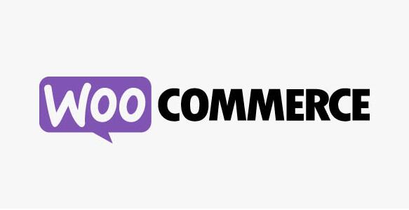 WooCommerce Customer – Order – Coupon Export v5.5.1插图