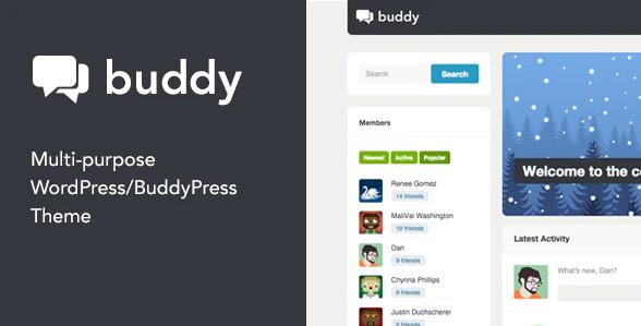 Buddy v2.22.3 –WordPress社交平台主题插图