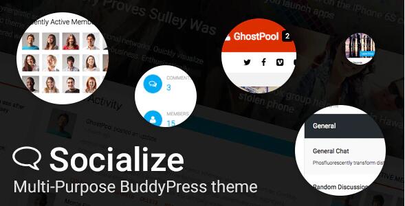 Socialize v2.43.5破解版（已汉化） –WordPress社交平台主题插图