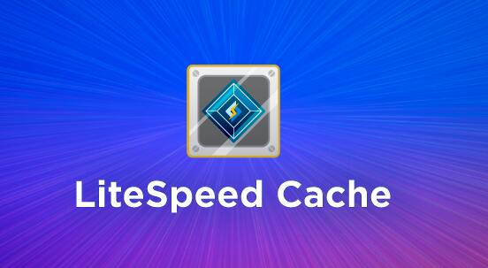 LiteSpeed Cache v3.6.4(已汉化) – WordPress缓存加速插件插图