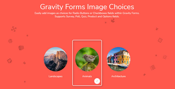 Gravity Forms Image Choices  Add-On v1.3.60插图