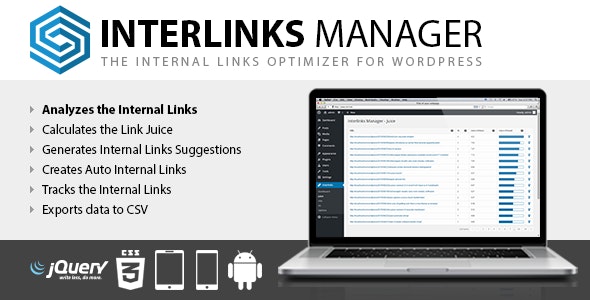 Interlinks Manager v1.35破解版（已汉化） – WordPress内链优化插件插图