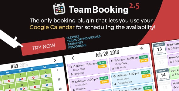 Team Booking v3.0.8（已汉化） – WordPress预订系统插图