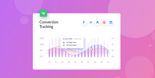 WooCommerce Conversion Tracking Pro v1.0.7破解版插图