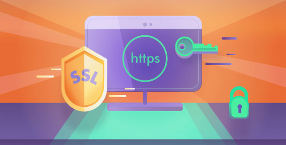 Really Simple SSL Pro v8.2.4（已汉化） - WordPress SSL插件高级版插图