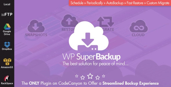 Super Backup & Clone v2.3.3破解版（已汉化） – WordPress数据备份迁移克隆插件插图