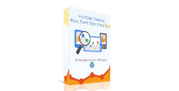 Visitor Traffic Real Time Statistics Pro v10.4 - WordPress访客流量实时统计专业版