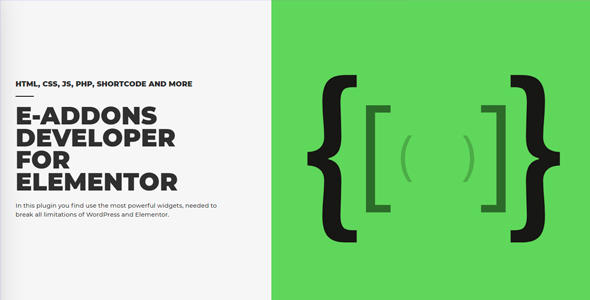 e-Developer - e-Addons for Elementor v3.2.0.1 core + v2.3插图