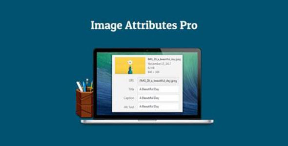 Auto Image Attributes Pro v4.5 - WordPress 插件插图