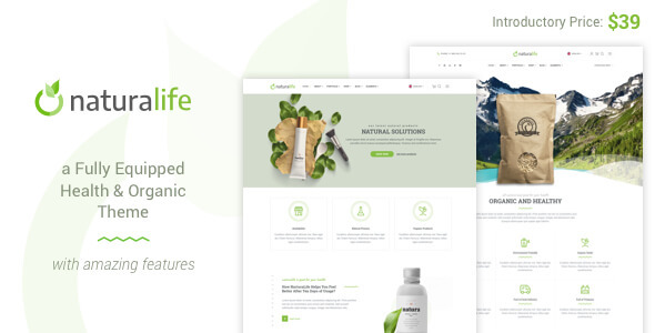 NaturaLife v1.9.12 – WordPress 健康与有机主题插图